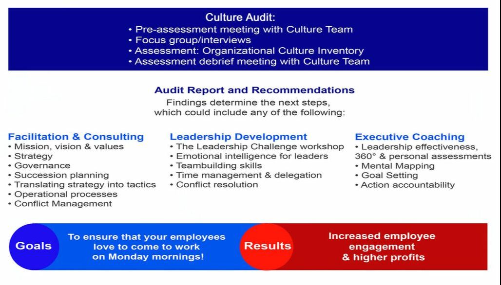 Culture Audit & Transformation Process